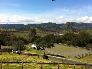 A view across a private horse arena in Blucher Valley Sebastopol